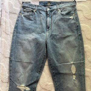 7 For All Mankind Light Blue Skinny Jeans